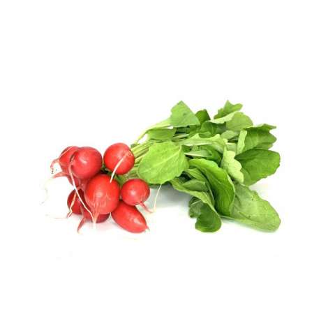 Radiesli 1 Bund vom Saumhof Künten